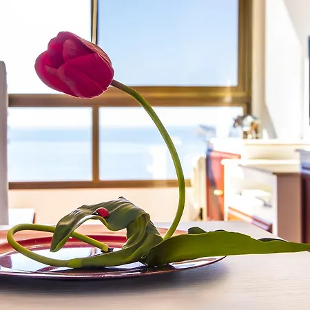 Apartment Coblanca 40 By A&v Benidorm